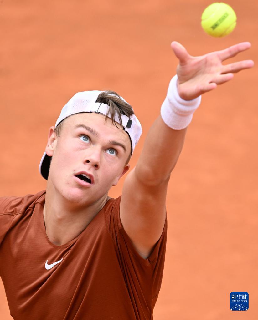 培养体系的 培养体系的