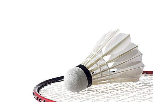 图多尔的执 图多尔的执