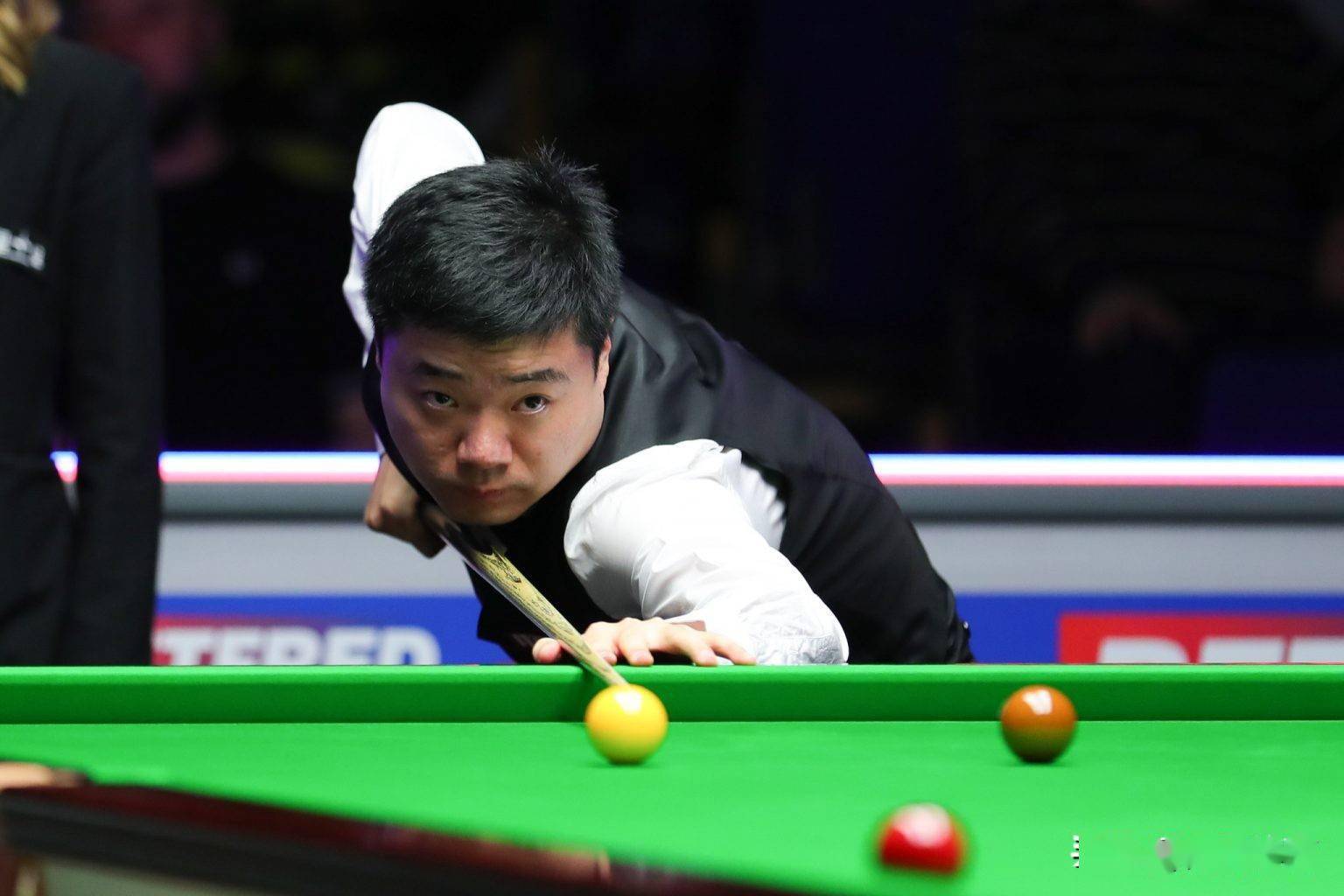 不论是新晋 不论是新晋