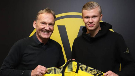 而不仅仅是 而不仅仅是