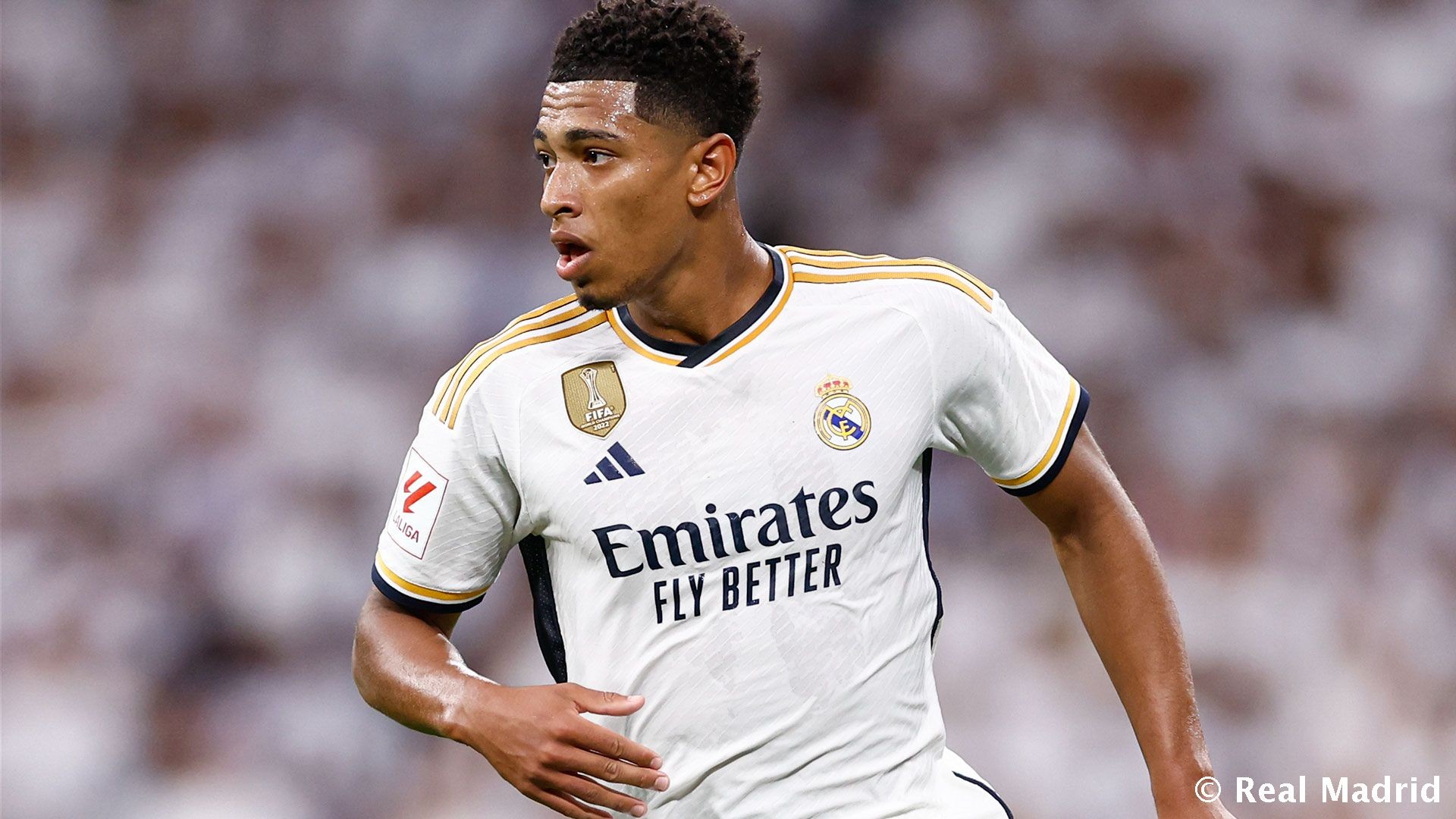 这不是一次 这不是一次