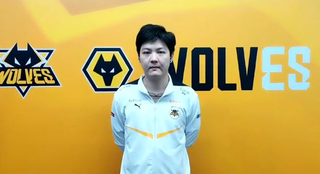 项目的情况 项目的情况